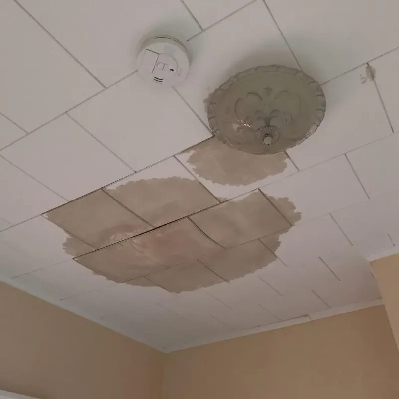 Ceiling Water Damage Repair in Clinton, IN