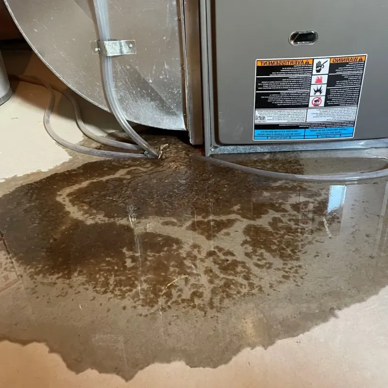Pipe Burst and Leak Restoration in Clinton, IN