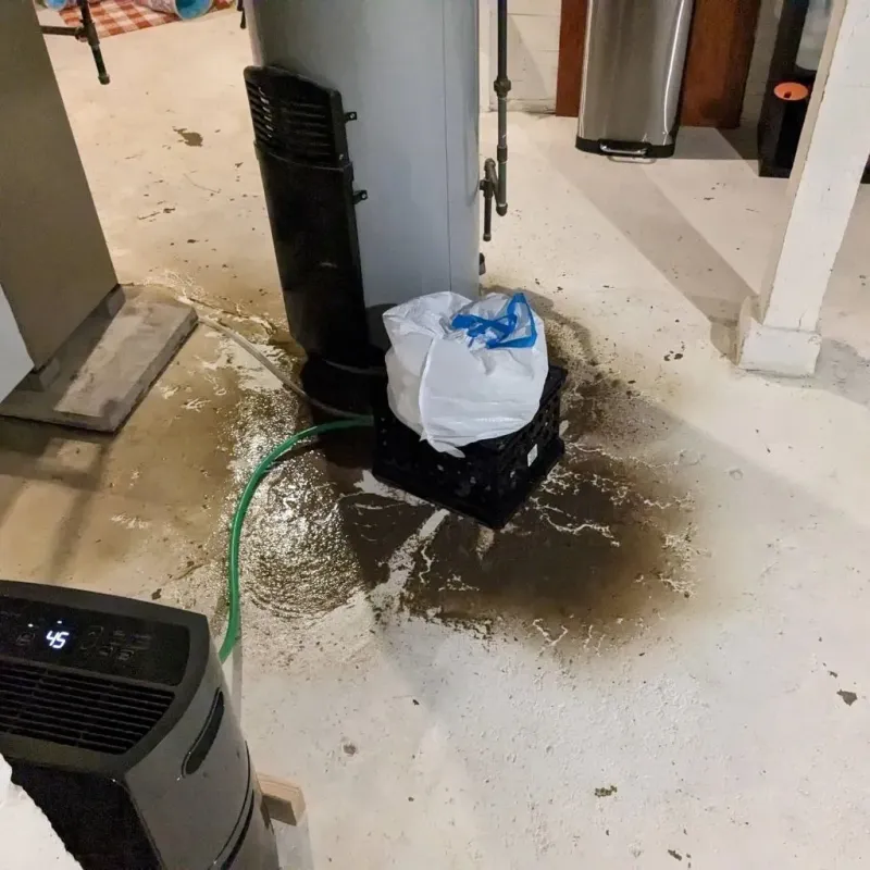 Sewage Backup Cleanup Service in Clinton, IN